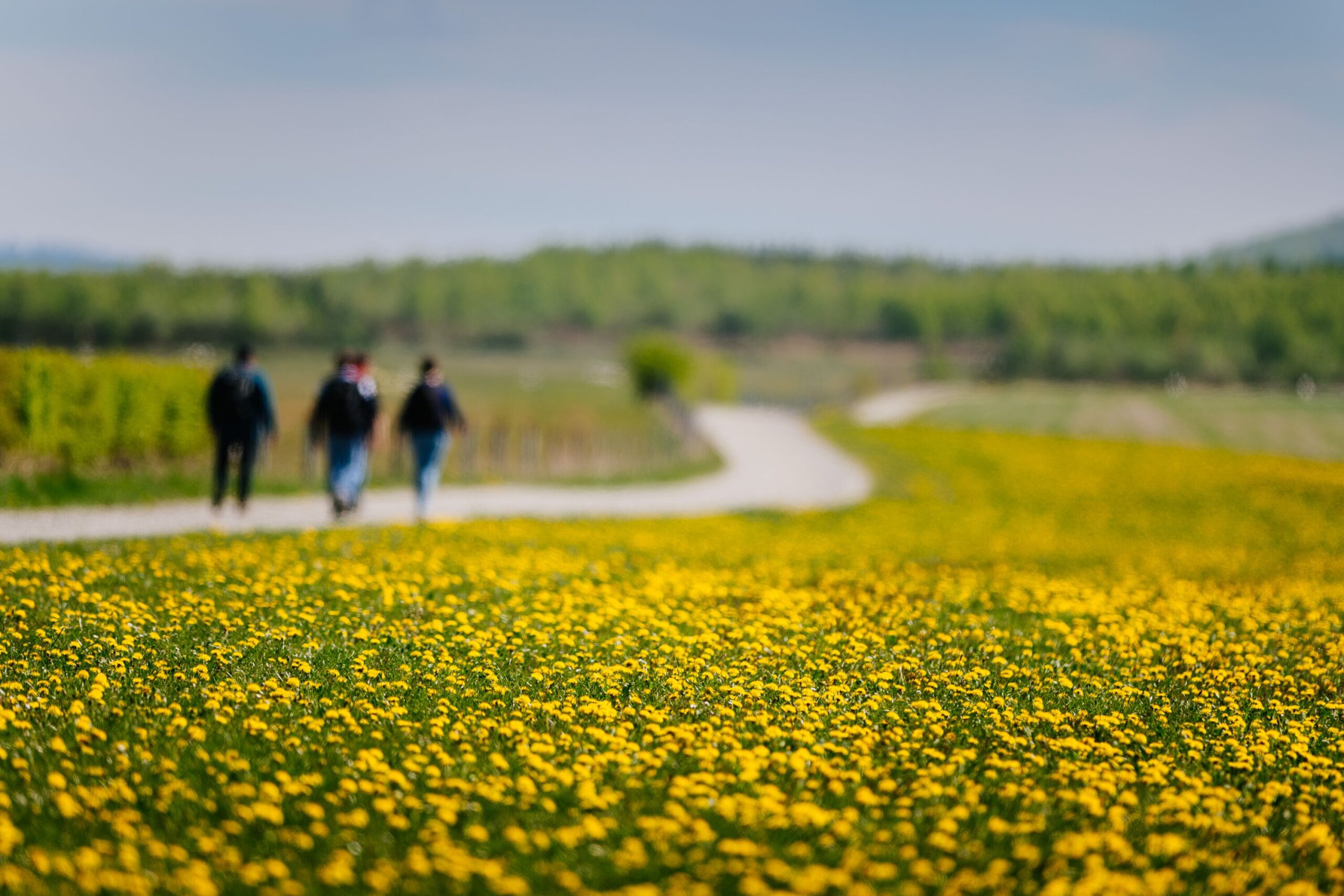 Fit für Liturgie: Bin dann mal weg